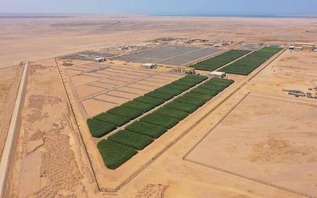 البحر الأحمر الدولية وأكوا باور توقعان شراكة في منتدى مبادرة السعودية الخضراء