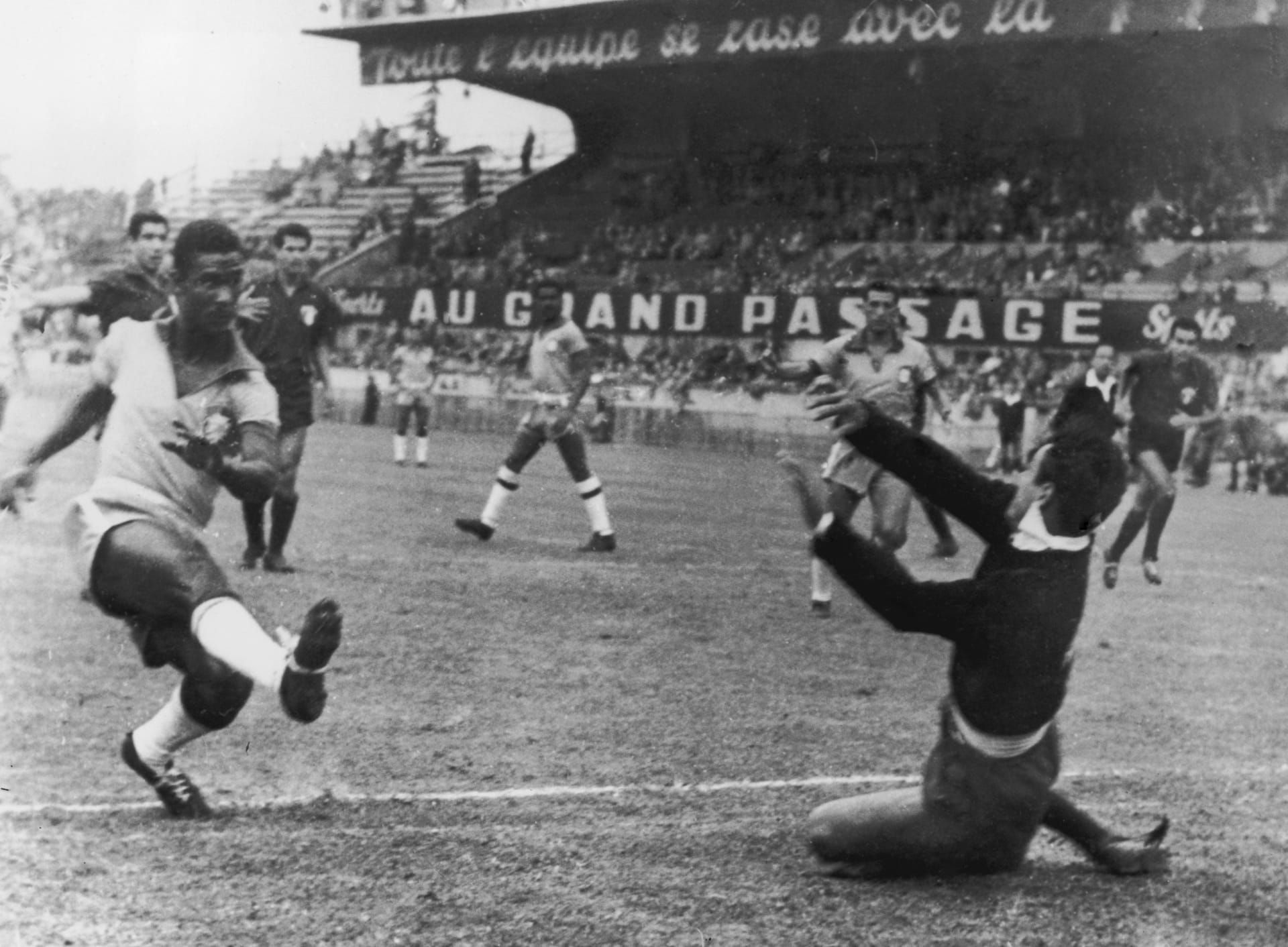 البرازيل 1954