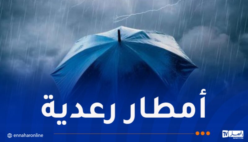 أنباء عاجلة ... أمطار رعدية تصل 30 ملم محليا عبر هذه الولايات - بوابة مصر الجديدة