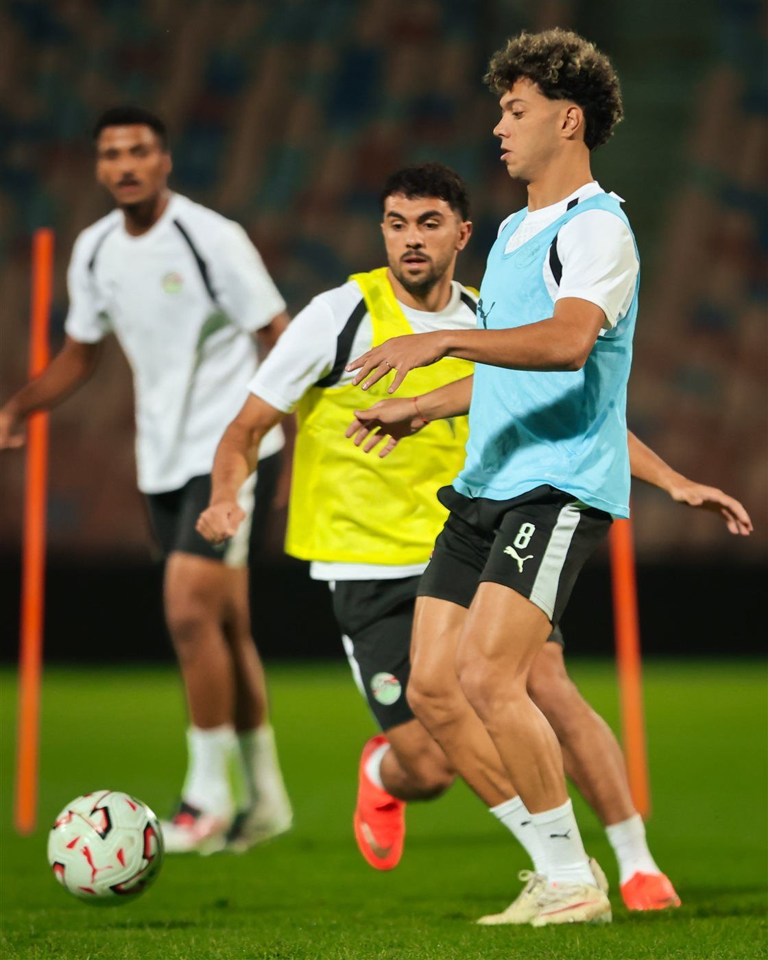 de4aefbc30.jpg
