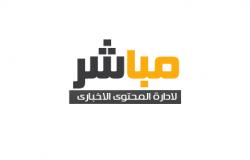 تعرض شقيق الفنانة ناهد السباعي إلي حادث جريدة الديوان