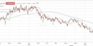 سهم "ذيب" يكسر قاعه التاريخي ويواصل النزيف
