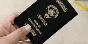 نبأ هام .. «العدل»: آلية لتوقيع عقود الموظفين المسحوبة جنسياتهم - بوابة مصر الجديدة