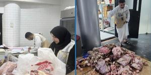 نبأ هام .. «الغذاء»: إتلاف 166 كجم من اللحوم الفاسدة وتحرير 7 محاضر في جولة رقابية بحولي - بوابة مصر الجديدة