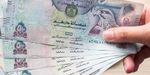 سعر الدرهم الإماراتي أمام الجنيه في البنوك المصرية اليوم السبت