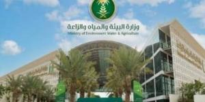 تداول اليوم .. وزارة البيئة تطرح 3 فرص استثمارية في الشرقية والباحة وجازان - بوابة مصر الجديدة