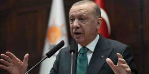 لأردوغان: لم يكن “درع أخيل” إلا للجمك