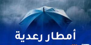 أنباء عاجلة ... أمطار رعدية تصل 30 ملم محليا عبر هذه الولايات - بوابة مصر الجديدة
