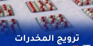 أنباء عاجلة ... باتنة.. توقيف 4 أشخاص وحجز 385 كبسولة بريغابلين - بوابة مصر الجديدة