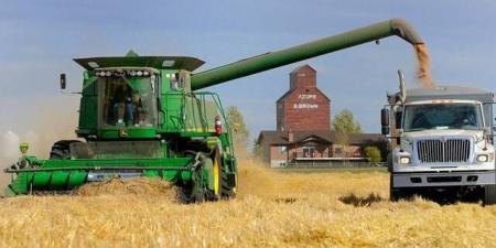 ارتفاع العقود الآجلة لأسعار القمح عالميًا