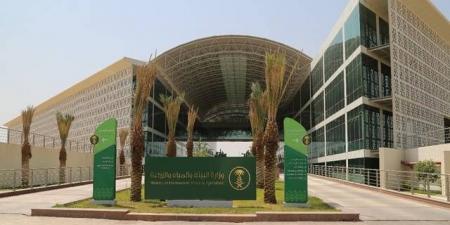 وزارة "البيئة" تطلق خدمتي ترخيص التربية الريفية للدواجن والماشية