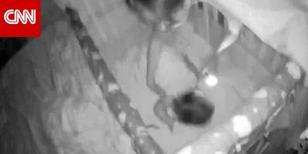 شاهد إسراع أم لحماية طفلها وسط زلزال بقوة 7 درجات في تايوان