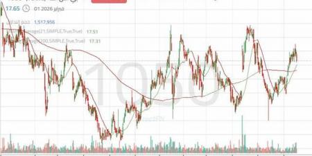 سهم "بي اس اف" في اختبار مقاومة هامة..هل ينجح في الصعود؟