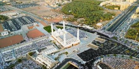 أمانة المدينة المنورة تعرض مشروعًا استثماريًا يضم أنشطة تجارية وسكنية وضيافة
