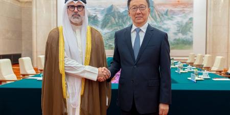 نبأ هام .. وزير الخارجية يبحث ونائب رئيس الصين العلاقات «الكويتية -الصينية».. وسبل تطوير وتنمية الشراكة الاستراتيجية - بوابة مصر الجديدة