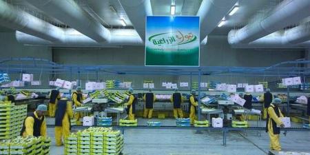 تداول اليوم .. مساهمو "تبوك الزراعية" يقرون تخفيض رأس المال 80.47% لإطفاء الخسائر المتراكمة - بوابة مصر الجديدة