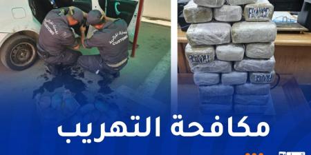 أنباء عاجلة ... حجز أكثر من 20 كلغ مخدرات بالشلف - بوابة مصر الجديدة