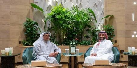 تداول اليوم .. محمد بن سلمان ومنصور بن زايد يبحثان العلاقات السعودية الإماراتية وتطورات المنطقة - بوابة مصر الجديدة