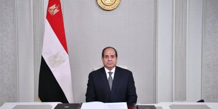 السيسي: أدوات محاولة الإضرار بمصر عديدة ومن بينها مواقع التواصل الاجتماعي