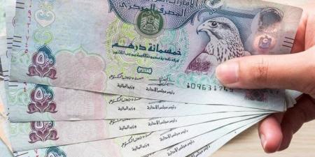 14.16 جنيه سعر الدرهم الإماراتي في بنك مصر