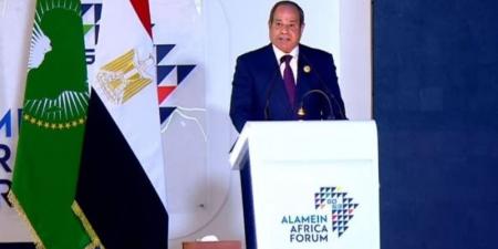 خبير اقتصادي: توطين التكنولوجيا يعزز قدرة أفريقيا على تحقيق النمو المستدام