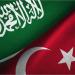 وزيرا خارجية السعودية وتركيا يبحثان الاعتداءات الإسرائيلية على سوريا