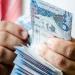 مساهمو "ملكية" يقرون زيادة رأس المال بنسبة 20% عن طريق أسهم منحة