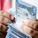 إتاحة البيان الربع سنوي لصندوق "ميفك ريت" للفترة المنتهية في يونيو 2026