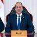 السيسي يوجه بتكثيف جهود جذب الاستثمارات الأجنبية المباشرة وتوطين الصناعات