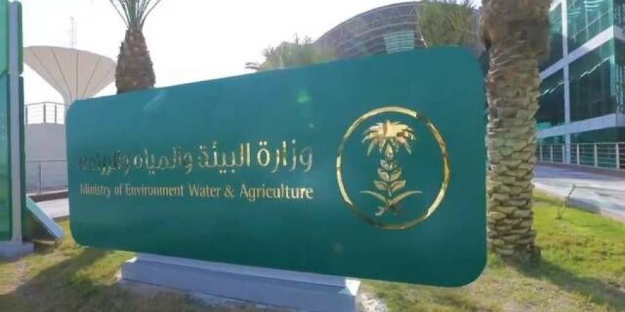 وزارة الزراعة تطلق خدمة إصدار تراخيص "التربية الريفية للدواجن"