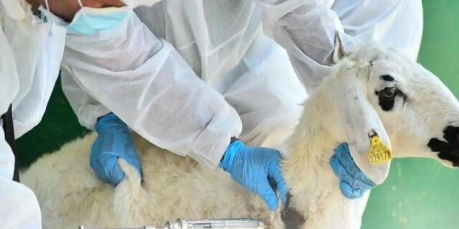 وزارة "البيئة" تطرح مشروع تحديث دليل المهن والمنشآت البيطرية لاستطلاع الآراء