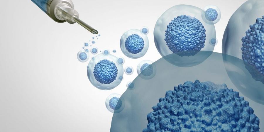 تنظيم التعامل مع مسائل الخلايا الجذعية