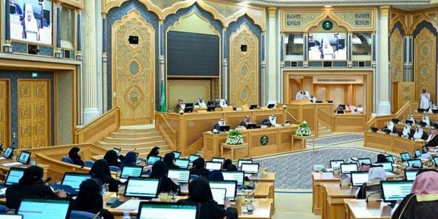 آلية لتسعير الطروحات.. أعضاء بالشورى يوجهون مطالبات لهيئة السوق المالية