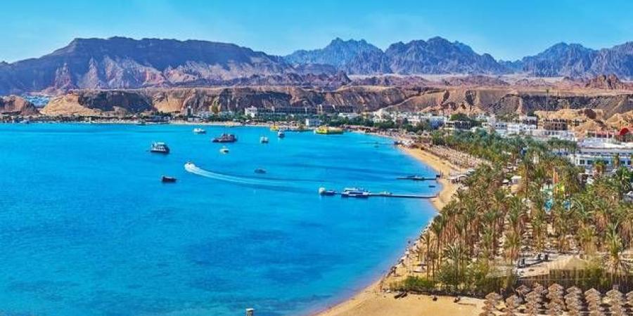 تداول اليوم .. بلومبرج: "مراكز" السعودية تطور مشروعًا سياحيًا بـ40 مليار جنيه قرب الغردقة - بوابة مصر الجديدة