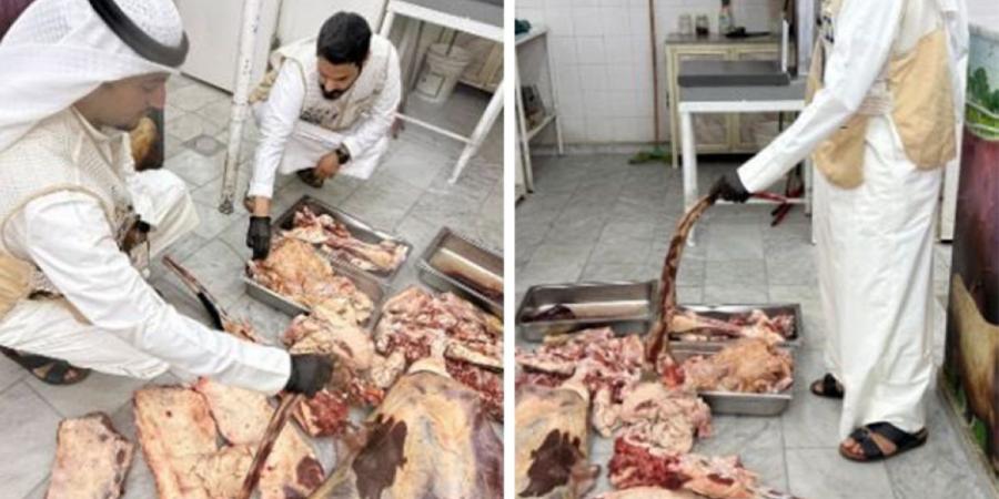 نبأ هام .. هيئة «الغذاء»: جولة تفتيشية على منشآت غذائية في محافظة الفروانية - بوابة مصر الجديدة
