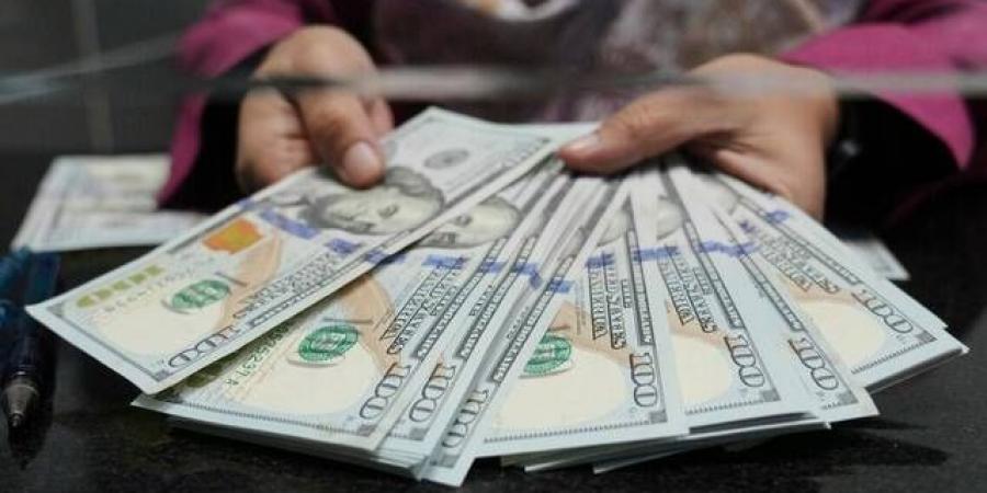 تداول اليوم .. الدولار يصعد لأعلى مستوى في شهرين بدعم توقعات رفع الفائدة - بوابة مصر الجديدة