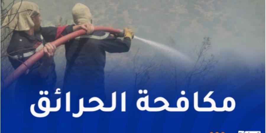 أنباء عاجلة ... إخماد 26 حريقا عبر عدة ولايات - بوابة مصر الجديدة
