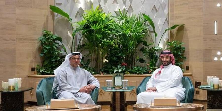 تداول اليوم .. محمد بن سلمان ومنصور بن زايد يبحثان العلاقات السعودية الإماراتية وتطورات المنطقة - بوابة مصر الجديدة