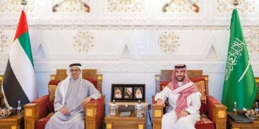 تداول اليوم .. وزير الدفاع السعودي يلتقي منصور بن زايد في الرياض ويبحثان التعاون المشترك - بوابة مصر الجديدة
