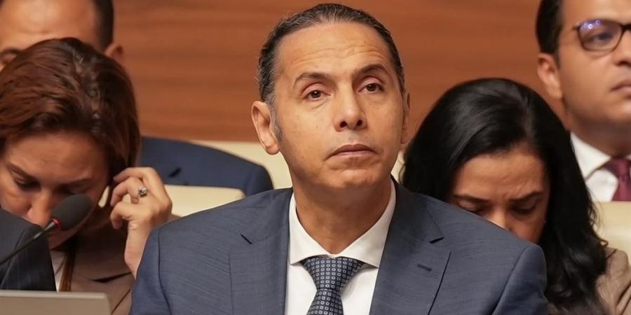 إسلام عزام يستعرض جهود الرقابة المالية في تمكين وحماية المرأة أمام مجلس سيدات الأعمال العرب