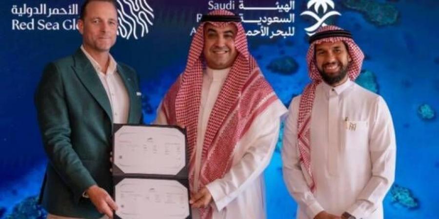 تداول اليوم .. "البحر الأحمر الدولية" تحصل على رخصتي تشغيل لمرسيي "أمالا" و"شورى" - بوابة مصر الجديدة