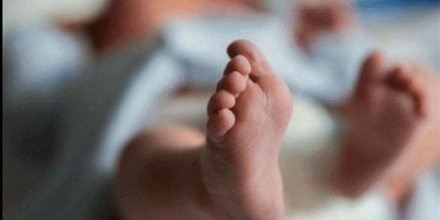 حبس سيدة وسائق 4 أيام لاتهامهما بإلقاء رضيع أمام دار أيتام بالشيخ زايد