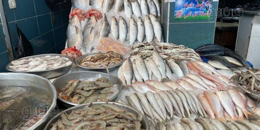 أسعار الأسماك اليوم، ارتفاع الجمبري 100 جنيه وانخفاض كبير في الكابوريا والبوري وقشر البياض