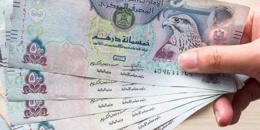 14.16 جنيه سعر الدرهم الإماراتي في بنك مصر