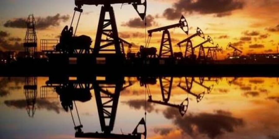 تداول اليوم .. أسعار النفط تهبط بقوة مع تحركات للإفراج عن الاحتياطيات العالمية - بوابة مصر الجديدة