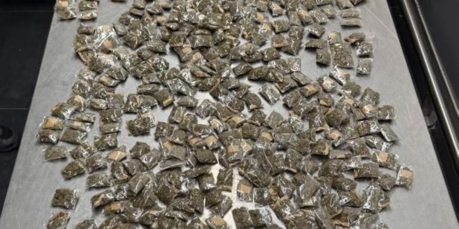 نبأ هام .. جمارك مطار الكويت تحبط محاولتي تهريب مخدرات في صالتي T4 وT5 - بوابة مصر الجديدة