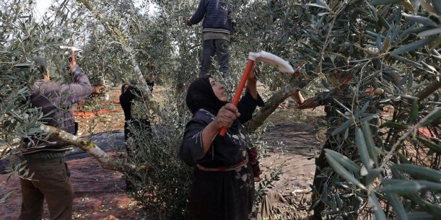 الأردن: حراك ضد استملاك أراضٍ في الأغوار… ومزارعتان تقتحمان اجتماعاً رسمياً