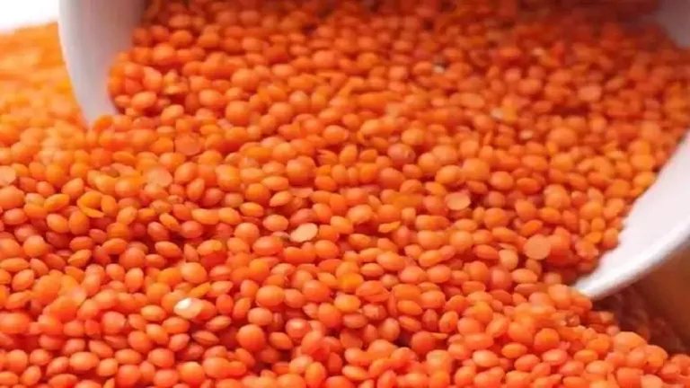 انخفاض أسعار العدس واللحوم والجبن اليوم بالأسواق (موقع رسمي)