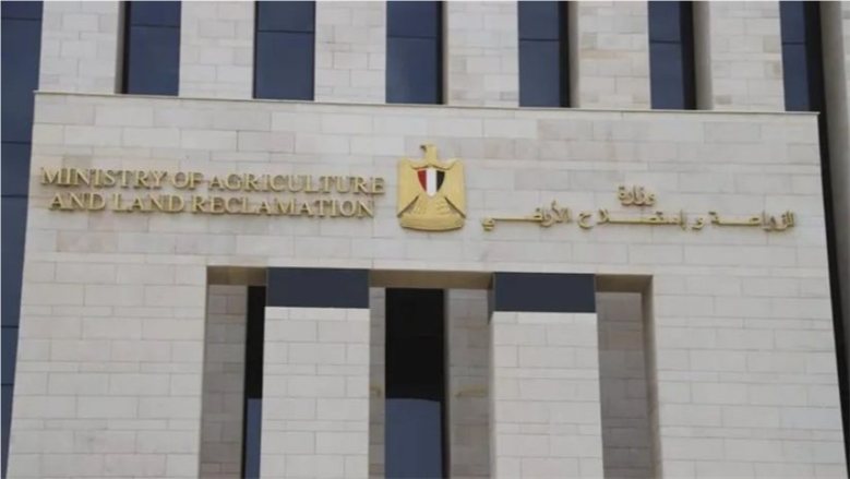 نائب رئيس "البحوث الزراعية" لـ"الدستور": خطة استراتيجية لتقليل الفجوة الغذائية وتأمين الاحتياجات الأساسية للمواطنين