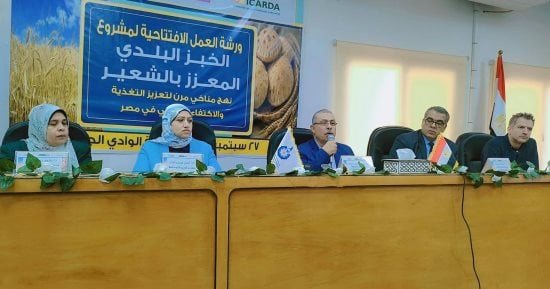 زراعة الوادي الجديد: بدء فعاليات مشروع إنتاج الخبز المعزز بالشعير بدعم الايكاردا